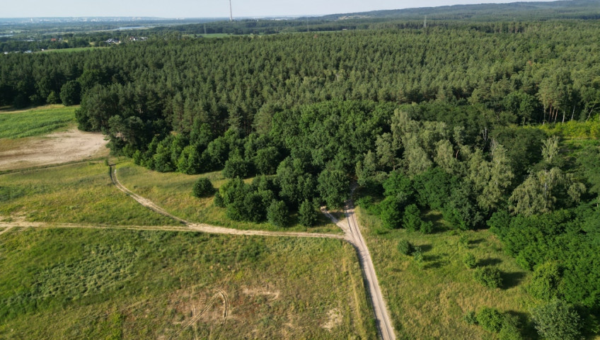 Działka Sprzedaż Daleszewo