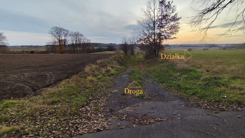 Działka Sprzedaż Wojcieszyn