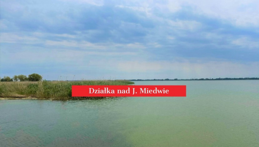 Działka Sprzedaż Wierzbno
