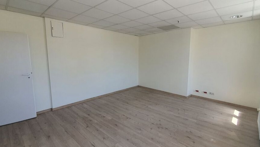 Lokal Wynajem Szczecin Stare Miasto