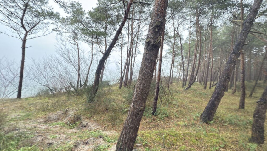 Mieszkanie Sprzedaż Międzywodzie Westerplatte