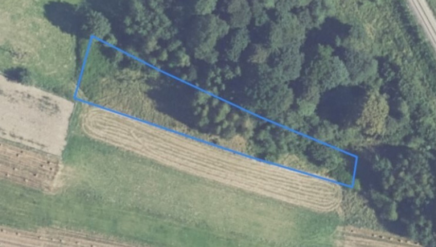 Działka Sprzedaż Bystra Podhalańska