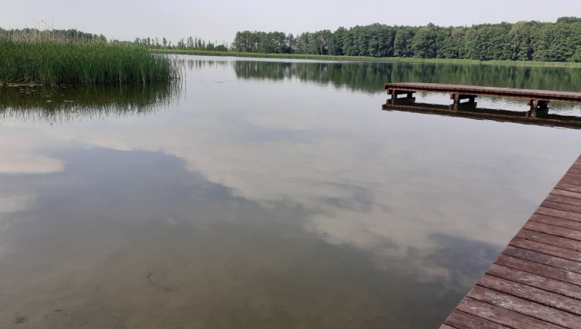 Działka Sprzedaż Sielsko