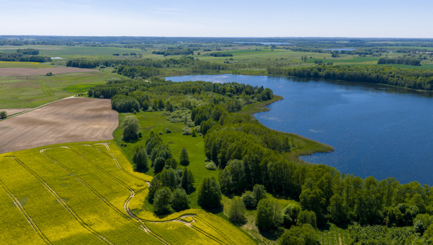 Działka Sprzedaż Sielsko