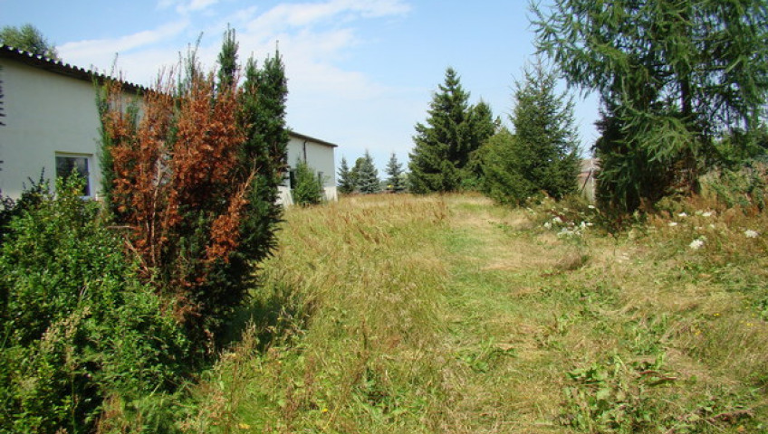 Działka Sprzedaż Kobylanka