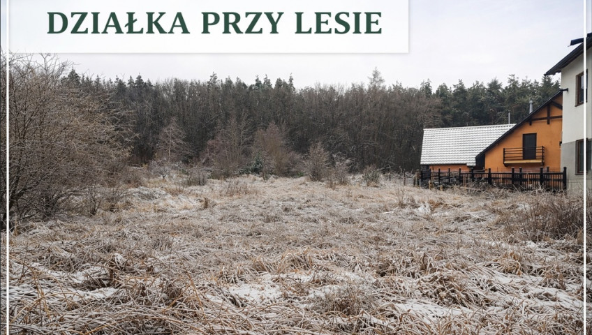 Działka Sprzedaż Pilchowo