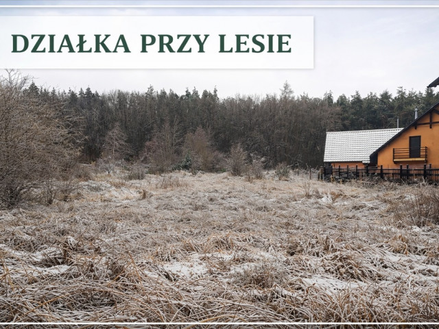 Działka Sprzedaż Pilchowo