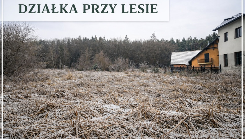 Działka Sprzedaż Pilchowo
