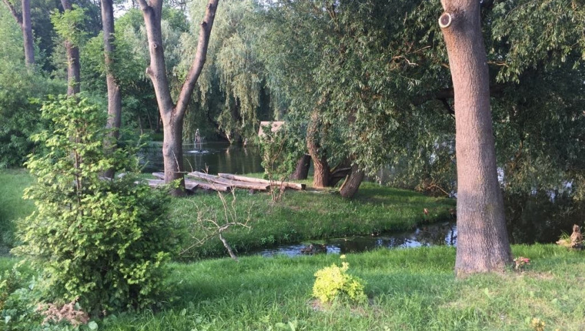 Mieszkanie Wynajem Skarbimierzyce