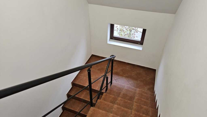 Lokal Wynajem Szczecin Centrum