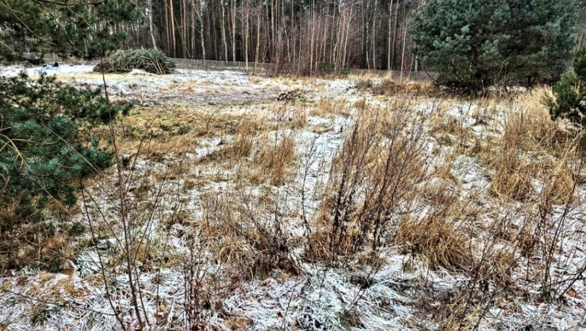 Działka Sprzedaż Dargobądz
