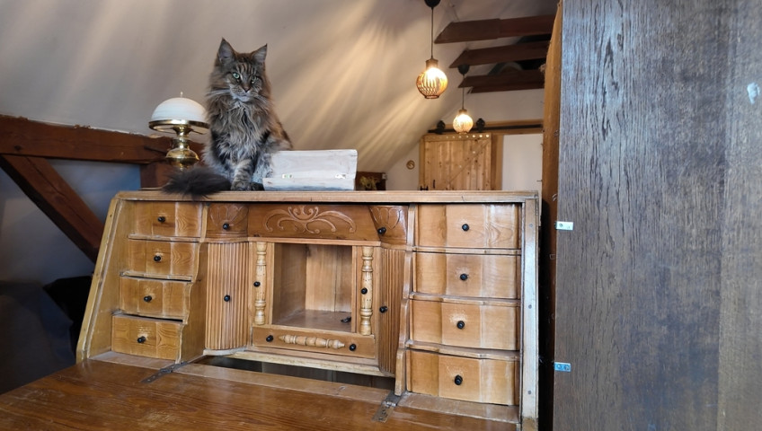 Dom Sprzedaż Ukiernica