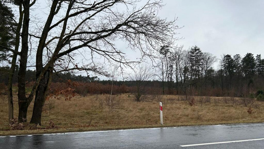 Działka Sprzedaż Brzózki