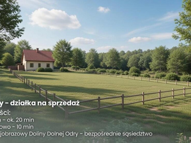 Działka Sprzedaż Moczyły