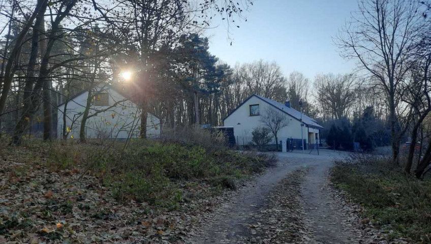 Działka Sprzedaż Czepino
