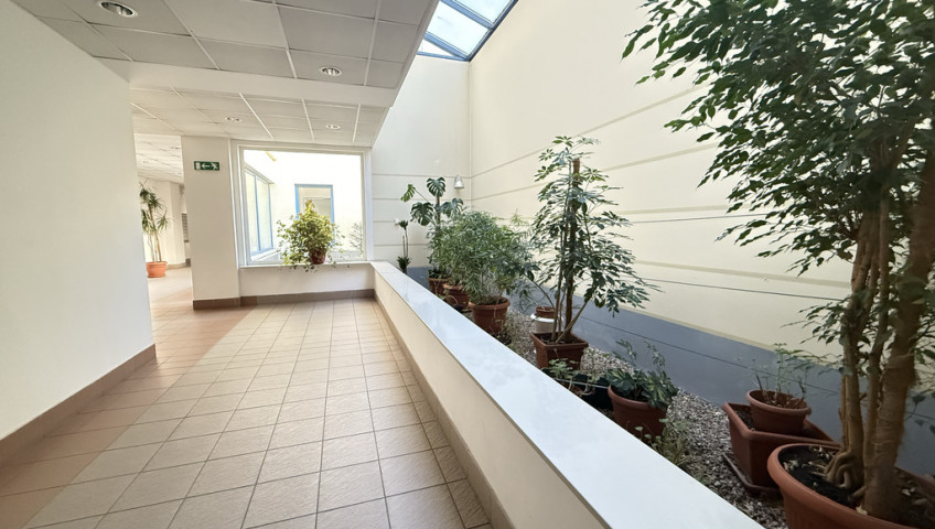 Mieszkanie Wynajem Szczecin Śródmieście-Centrum Plac Stefana Batorego