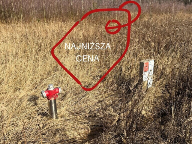 Działka Sprzedaż Żółwia Błoć
