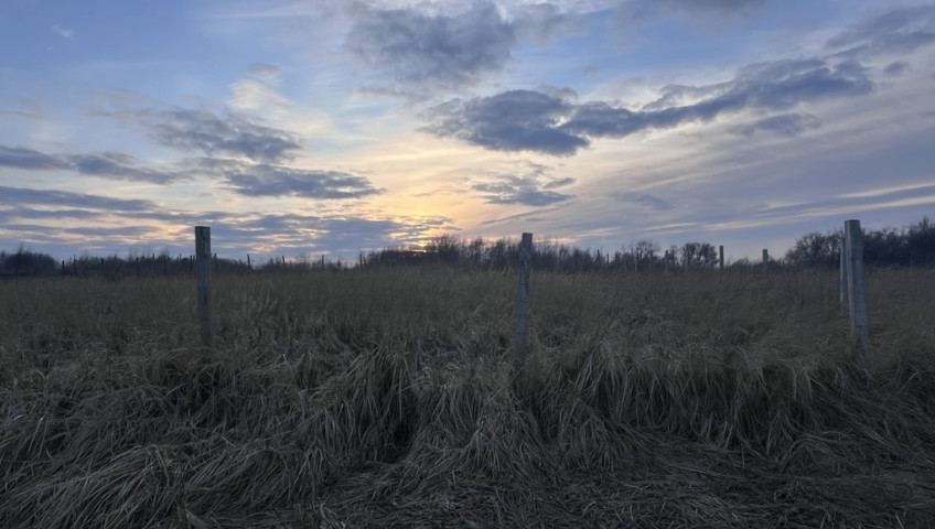 Działka Sprzedaż Szczecin Skolwin