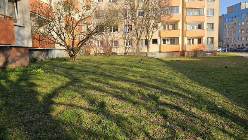 Mieszkanie Sprzedaż Szczecin Niebuszewo Księżnej Anastazji