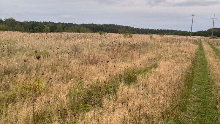 Działka Sprzedaż Storkowo