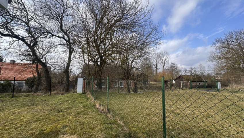 Działka Sprzedaż Wierzbno