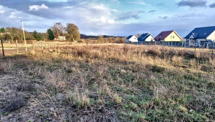 Działka Sprzedaż Gryfino