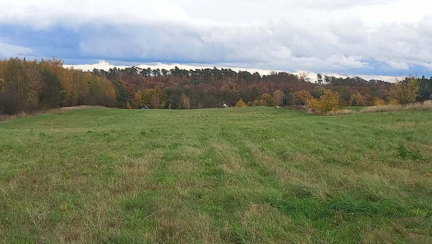 Działka Sprzedaż Steklno