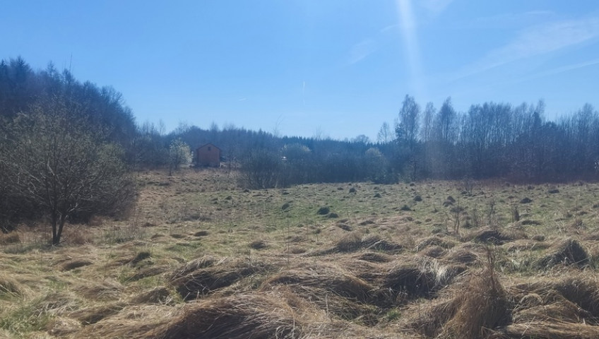 Działka Sprzedaż Linówko