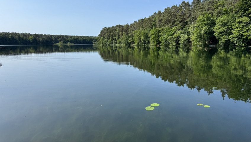 Dom Sprzedaż Danków