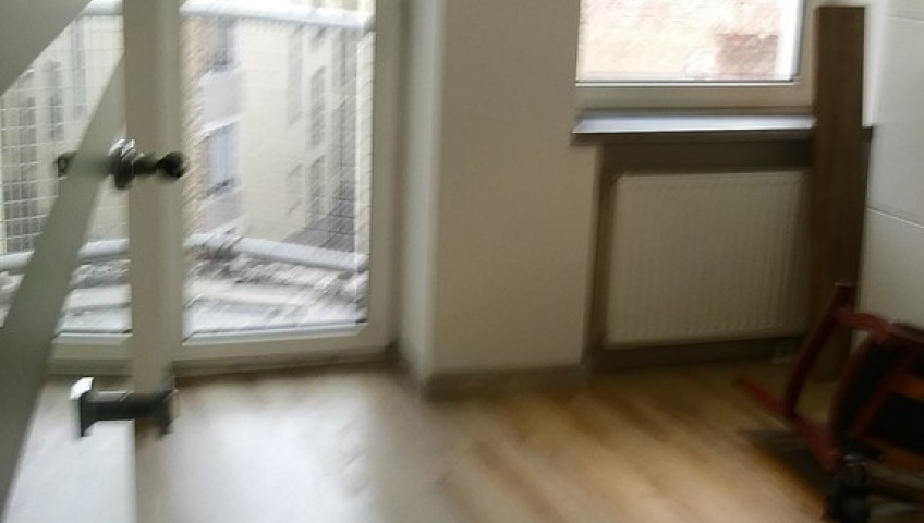 Lokal Wynajem Szczecin Śródmieście-Centrum