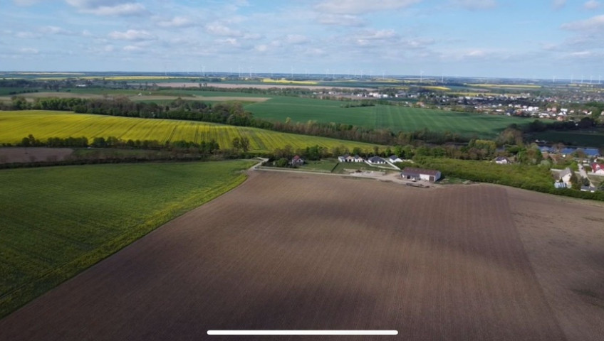 Działka Sprzedaż Pyrzyce