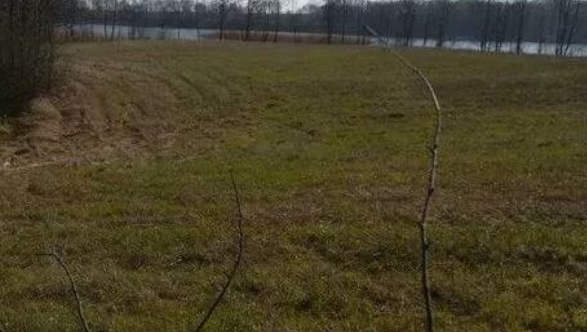 Działka Sprzedaż Kaszewo