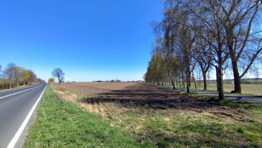 Działka Sprzedaż Wojcieszyn