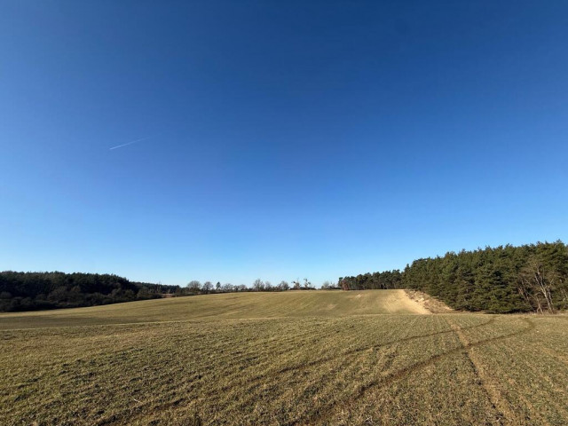 Działka Sprzedaż Buk