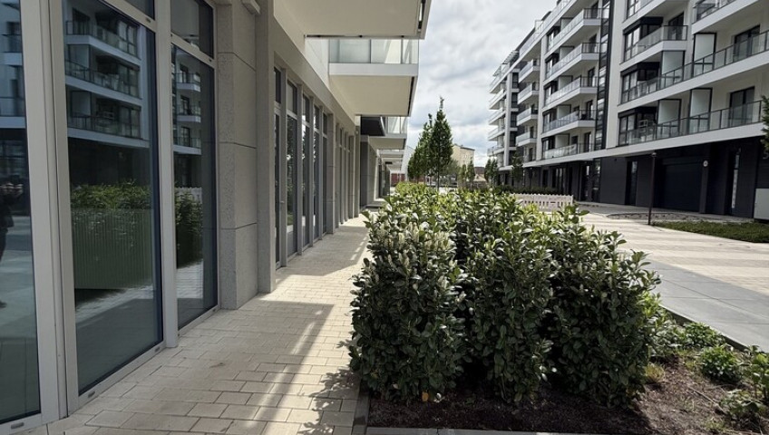 Lokal Wynajem Szczecin Łasztownia