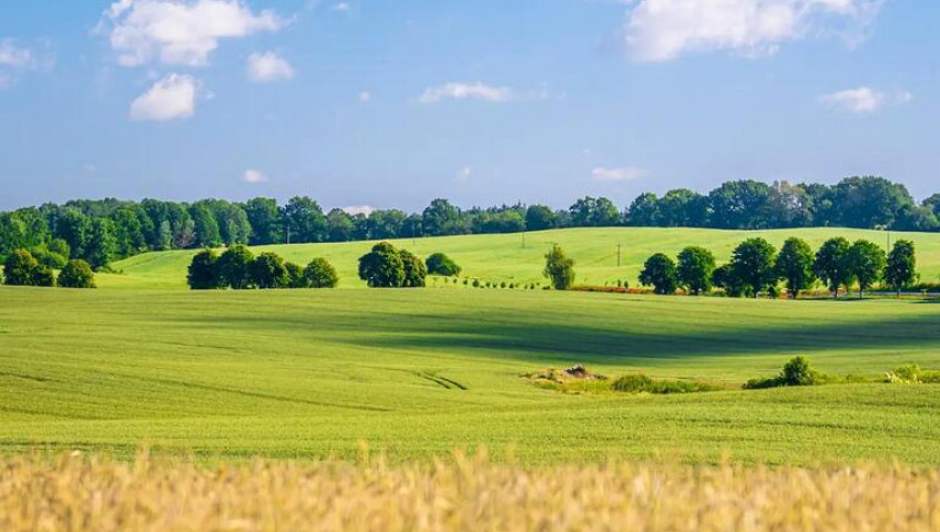 Działka Sprzedaż Przemocze
