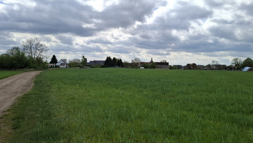 Działka Sprzedaż Bagna