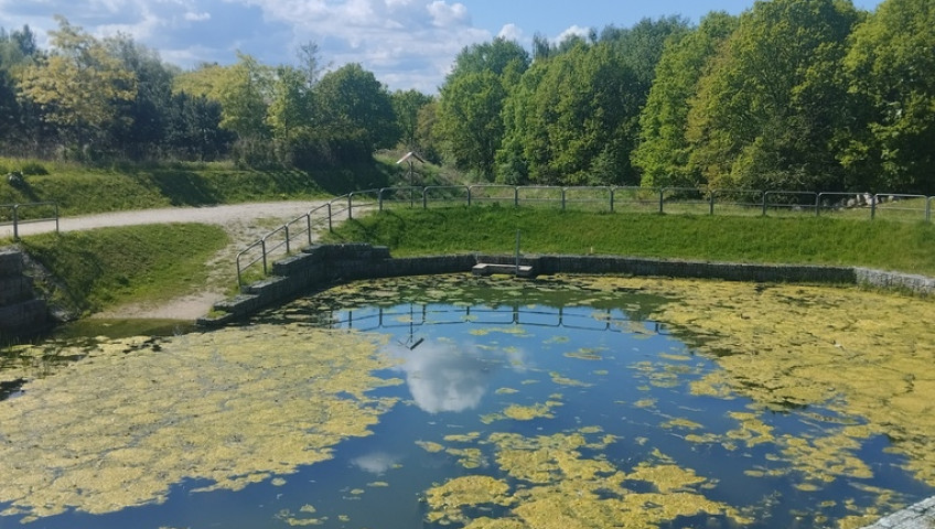 Mieszkanie Sprzedaż Szczecin Warszewo Szwedzka