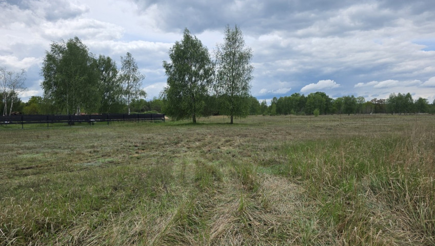 Działka Sprzedaż Grzepnica