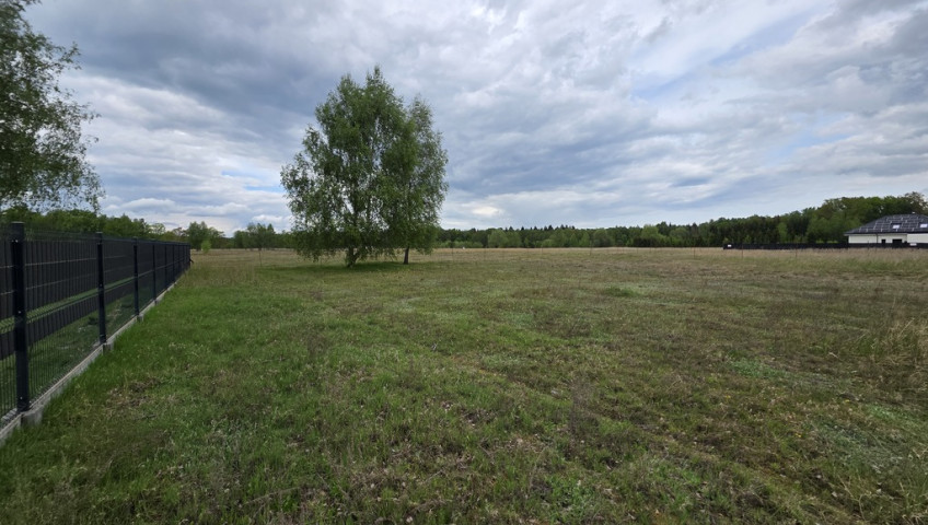 Działka Sprzedaż Grzepnica