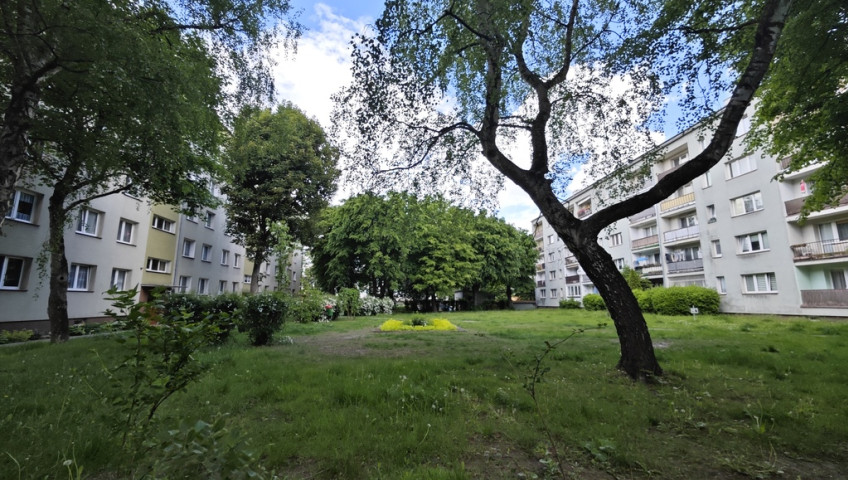 Mieszkanie Sprzedaż Szczecin Śródmieście-Centrum Odzieżowa