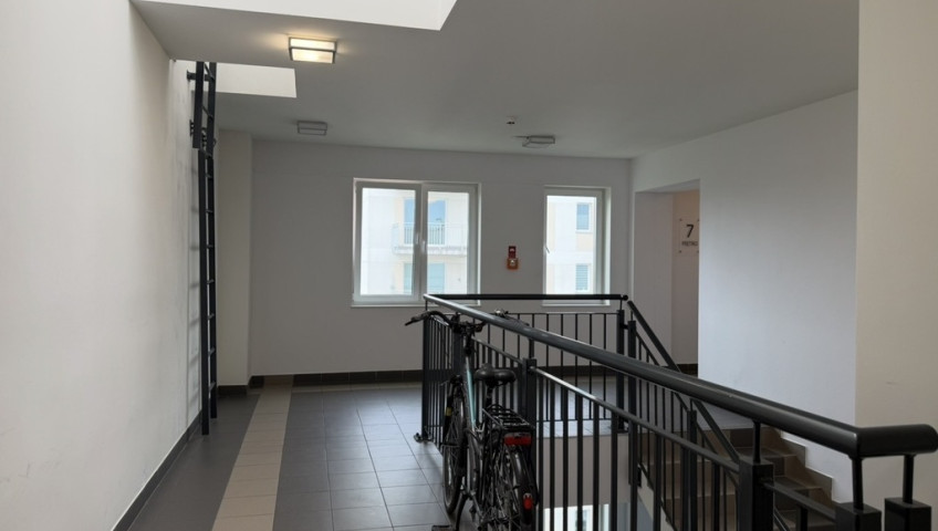 Mieszkanie Wynajem Szczecin Warszewo Panoramiczna