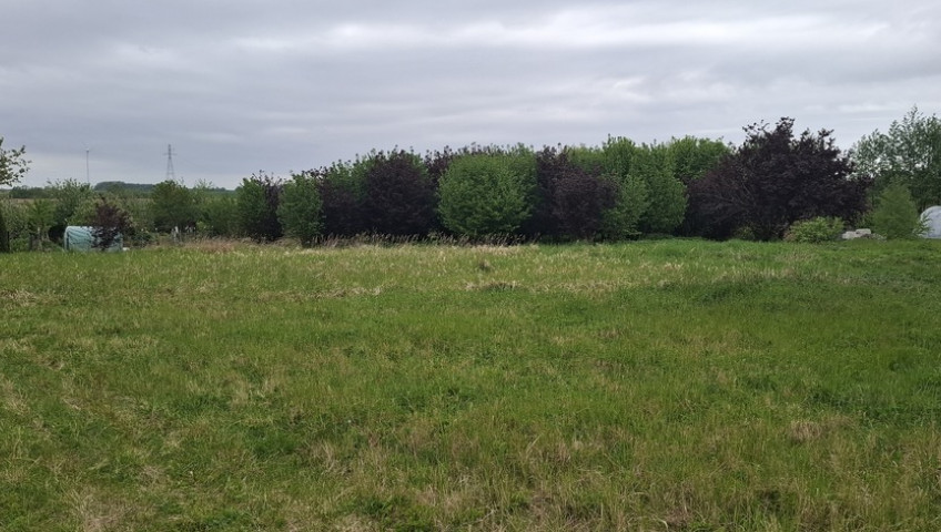 Działka Sprzedaż Trzebiatów Wolności