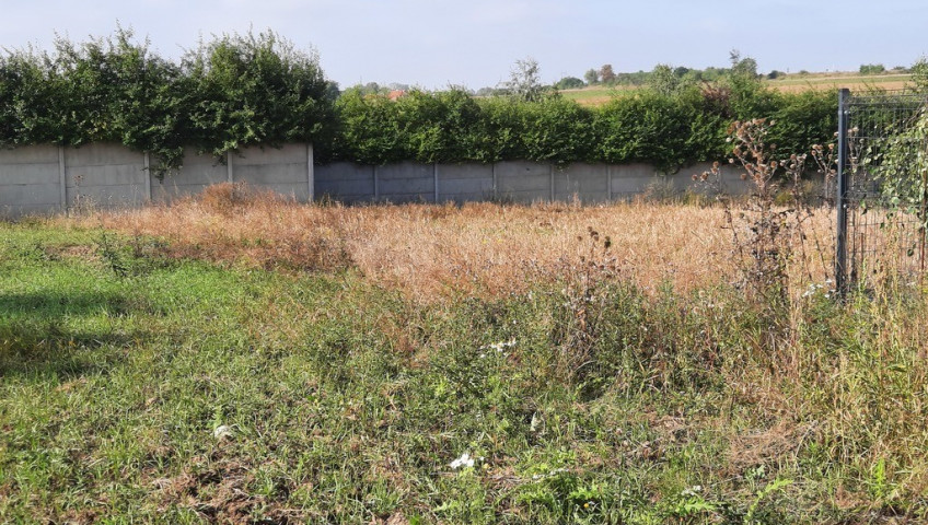 Działka Sprzedaż Kurów Na Klifie