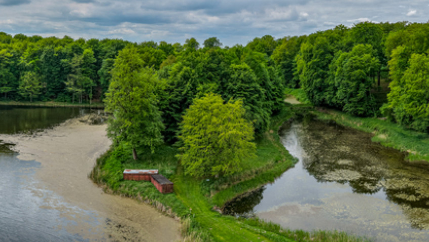 Działka Sprzedaż Wisławie
