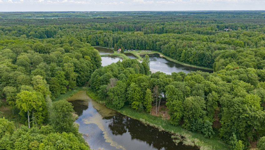 Działka Sprzedaż Wisławie
