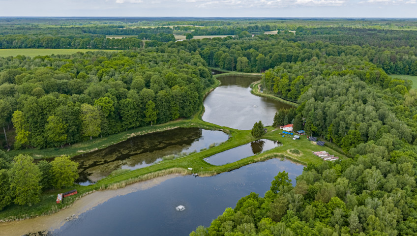 Działka Sprzedaż Wisławie