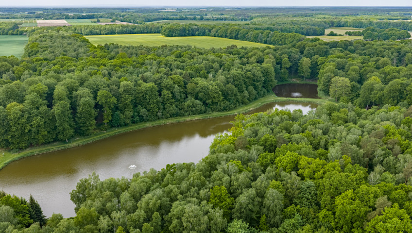Działka Sprzedaż Wisławie