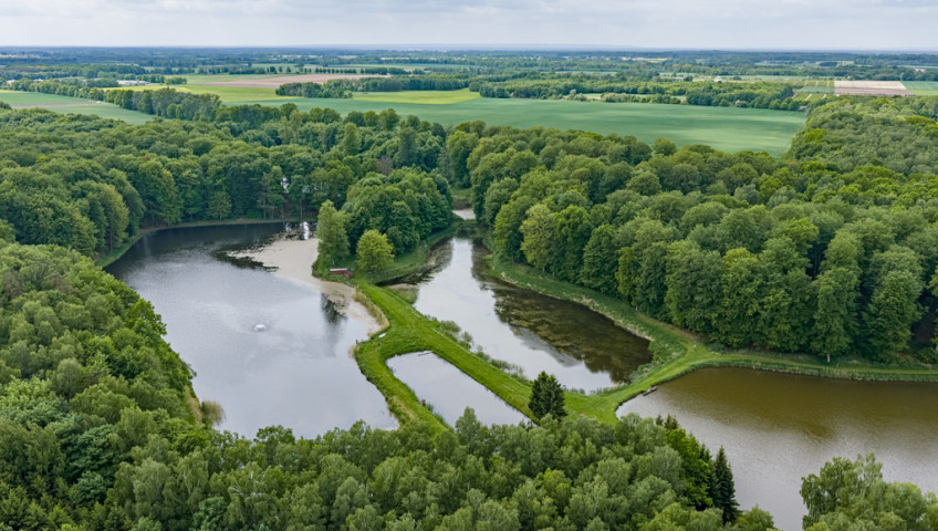 Działka Sprzedaż Wisławie