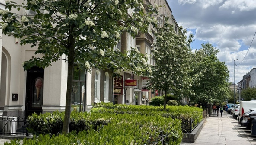 Mieszkanie Sprzedaż Szczecin Centrum Monte Cassino